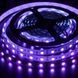 Світлодіодна стрічка ультрафіолетова 12v 5050 60led/m ip20 фото