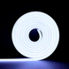 Гнучкий LED неон 12v 8*16мм 2,5см білий фото
