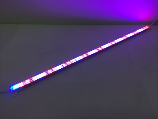 LED фітосвітильник 12В SMD5630 72led 3:1 фото