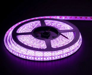 Світлодіодна стрічка 12v 2835 180led ip65 в силіконі Преміум Фіолетовий фото