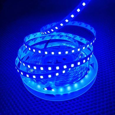 Комплект светодиодной LED ленты 20м 120led/m синий фото