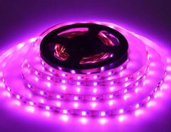 Светодиодная LED лента 12v 2835 60led/m ip20 розовый Стандарт фото