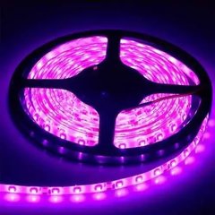 Світлодіодна LED стрічка 12v 2835 60led/m ip65 рожевий Стандарт фото