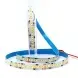 Світлодіодна стрічка CCT 24v 2835 240led/m ip20 фото