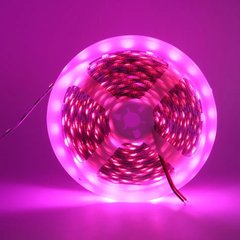 Світлодіодна LED стрічка 12v 5050 60led/m ip20 рожевий Стандарт фото