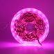 Світлодіодна LED стрічка 12v 5050 60led/m ip20 рожевий Стандарт фото