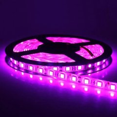 Светодиодная LED лента 12v 5050 60led/m ip65 розовый Стандарт фото