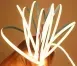 LED лента COB 24v 5мм 480д/м теплый Премиум фото