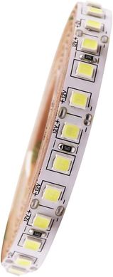 Світлодіодна LED стрічка 12v 4040 120led/m ip20 білий Преміум фото