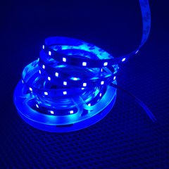 Світлодіодна LED стрічка 12v 2835 60led/m ip20 синій Стандарт фото