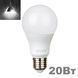 LED лампочка E27 A80 20вт 4100К фото