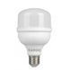LED лампочка High Power E27 50вт 6500К фото