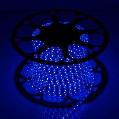 Світлодіодна LED стрічка 220v 2835 60led/m синій фото