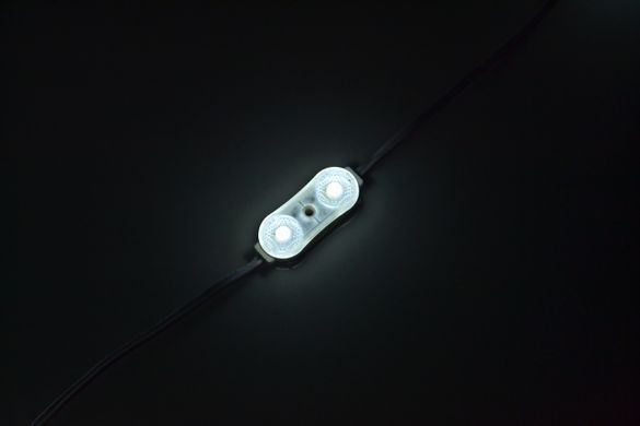 Світлодіодний модуль SHINE 12v 2led 0,72w з лінзою фото