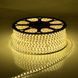 Світлодіодна LED стрічка 220v 5050 60led/m теплий фото